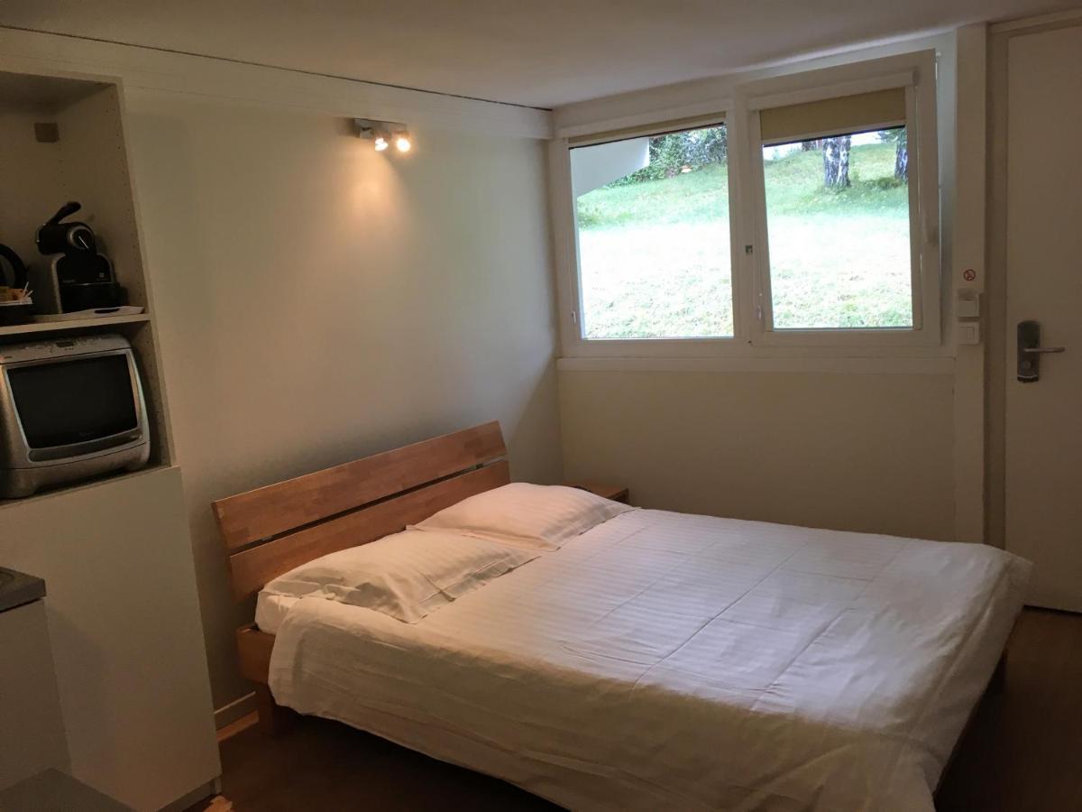 Hotel Pierre Blanche Chatillon-en-Michaille Eksteriør bilde